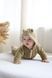 Флісовий чоловічок "Bear", коричневий 68 (3-6 міс) &mdash; фото 2